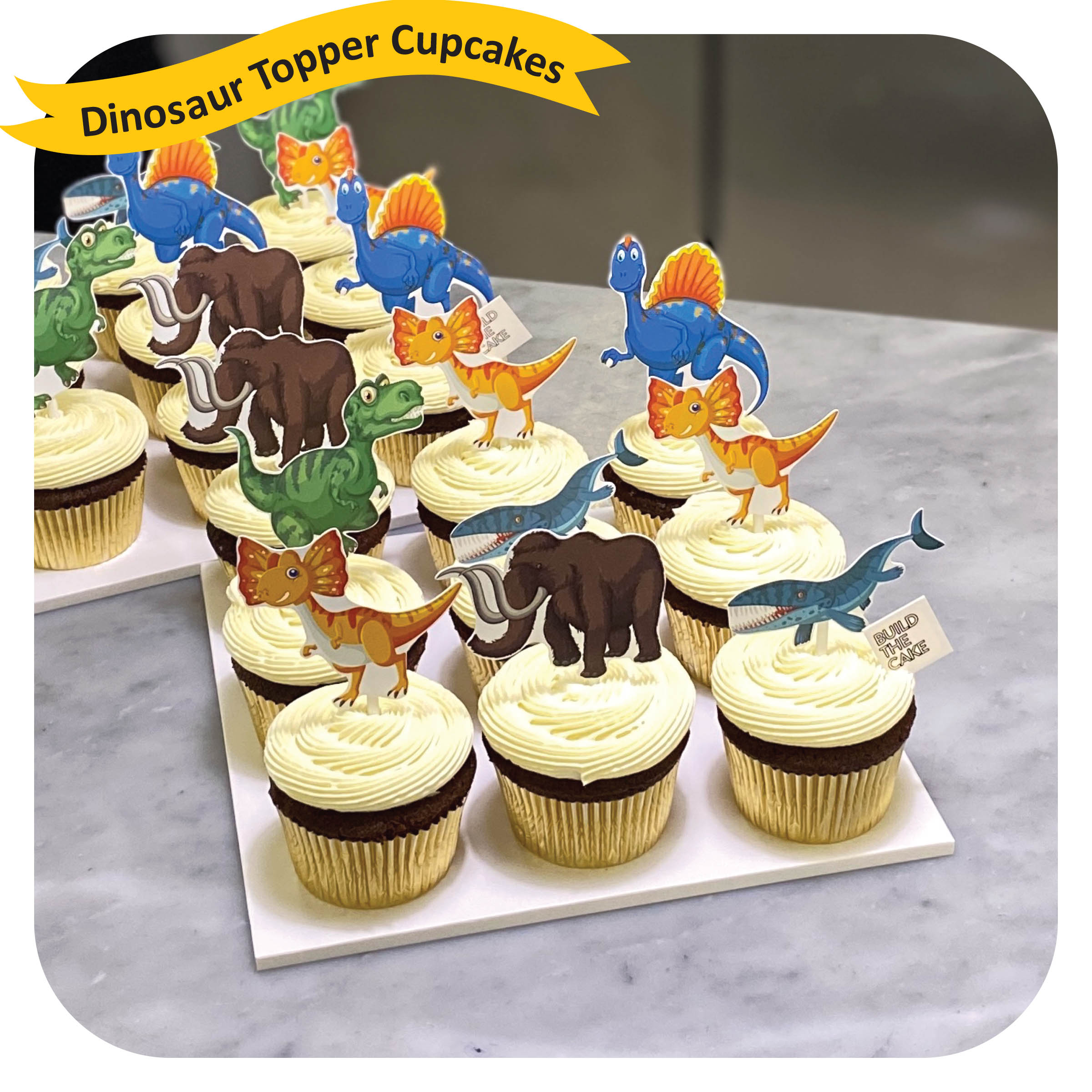 Custom cupcakes with Dinosaurs cake toppers